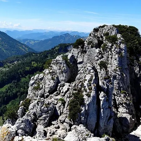 Angelika Διαμέρισμα *